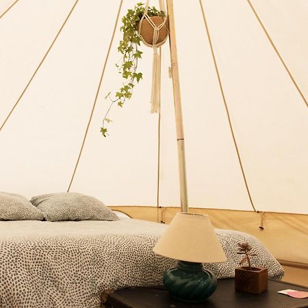 Aparra Surfcamp Capbreton Hotell Eksteriør bilde