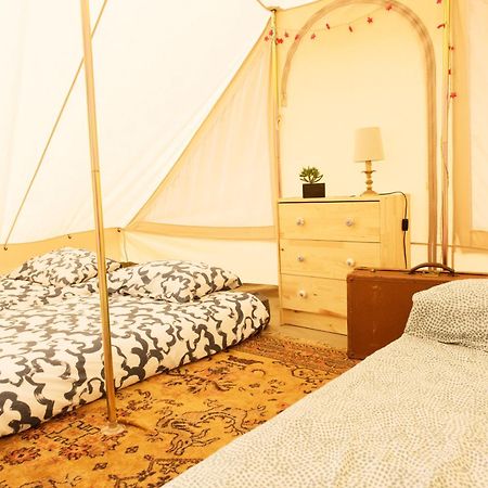 Aparra Surfcamp Capbreton Hotell Eksteriør bilde