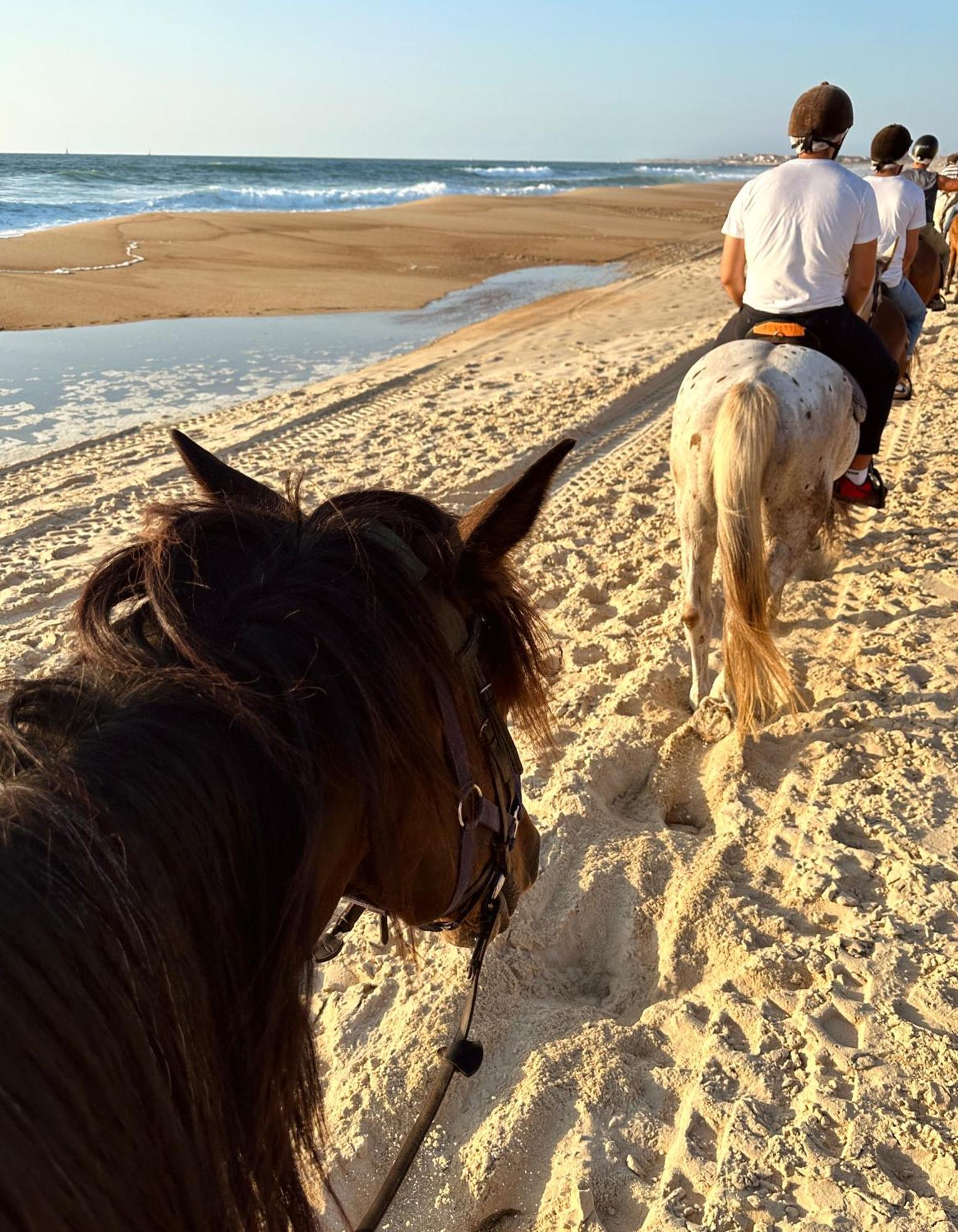 Aparra Surfcamp Capbreton Hotell Eksteriør bilde