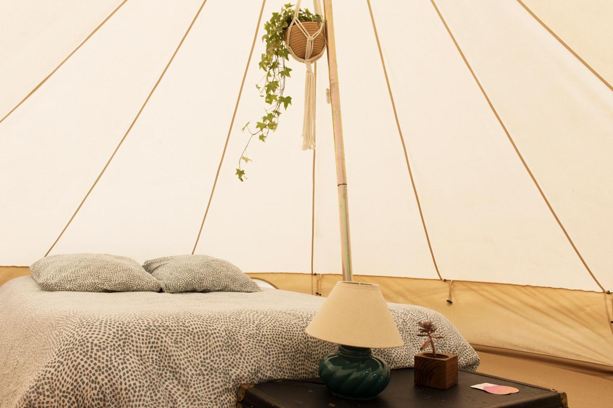 Aparra Surfcamp Capbreton Hotell Eksteriør bilde